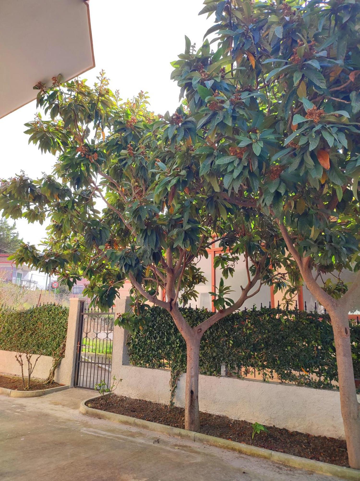 Bp Beach Apartments Golem  Bagian luar foto